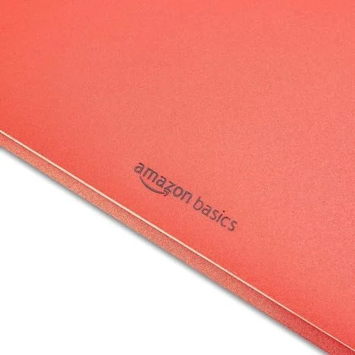 Amazon Basics Heavy Duty Plastic Folders with 2 Pockets for Documents - Letter Size Paper, School Supplies Organization, Assorted Colors, Pack of 12